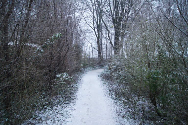 De Energie van Januari – Stil Begin, Helderheid & Intentie
