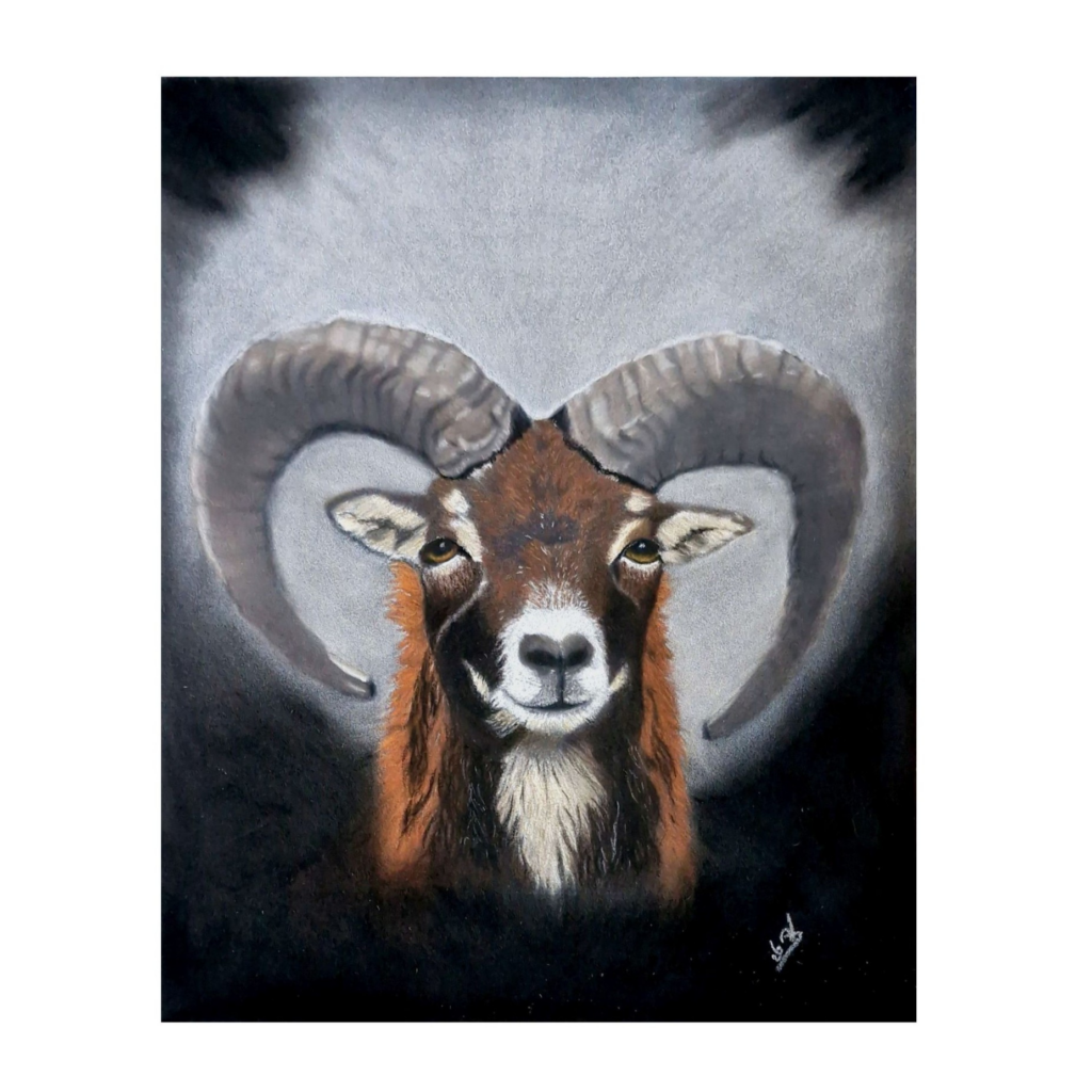 Pastel drawing of a mouflon with large curved horns against a dark background – symbol of the zodiac sign Aries, strength, courage and inner fire.
