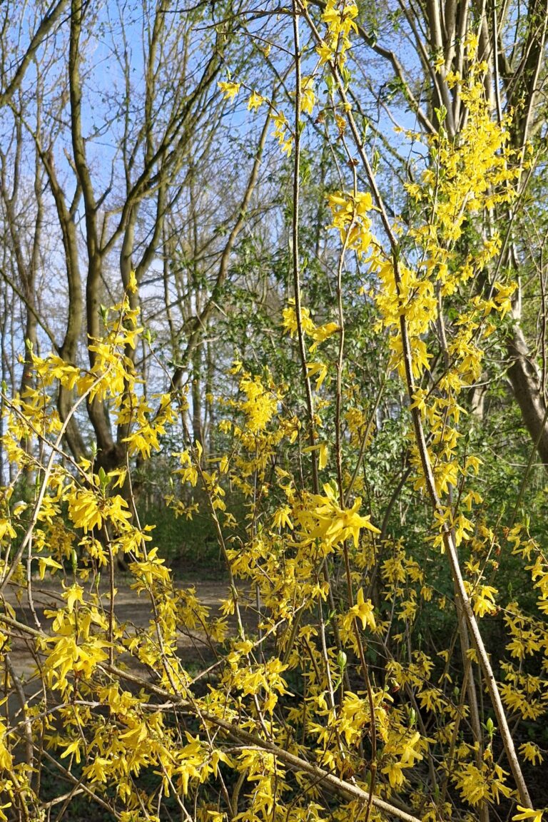 The energy of April – growth, light and gentle awakening