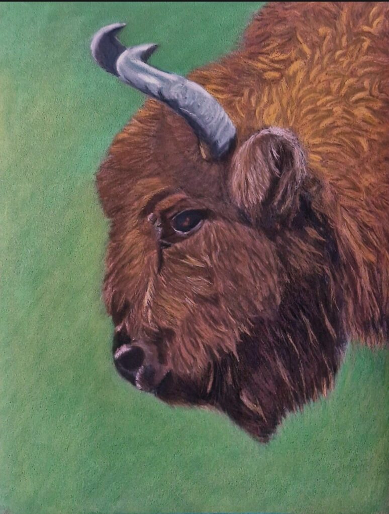Eigen pastelillustratie van een wisent als symbool voor Stier – krachtige, rustige uitstraling in warme aardetinten, passend bij stabiliteit, innerlijke kracht en verbondenheid met de aarde.