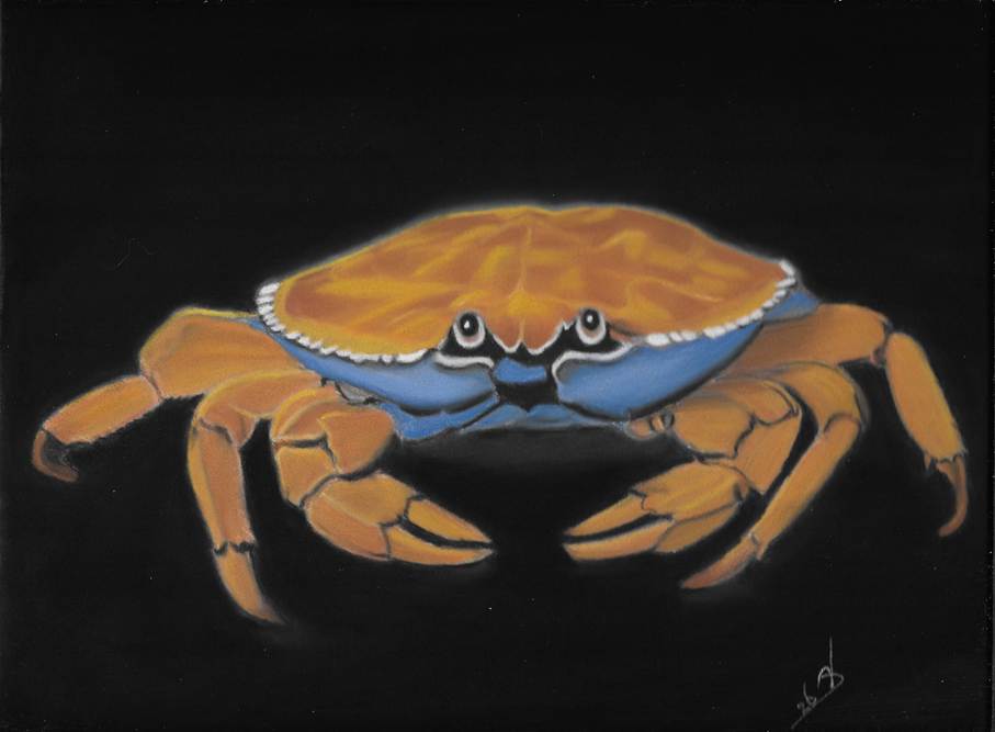 Eigen pasteltekening van een kreeft in warme oranje- en blauwtinten tegen een donkere achtergrond – symbool van bescherming, intuïtie en de stille kracht van sterrenbeeld Kreeft.
